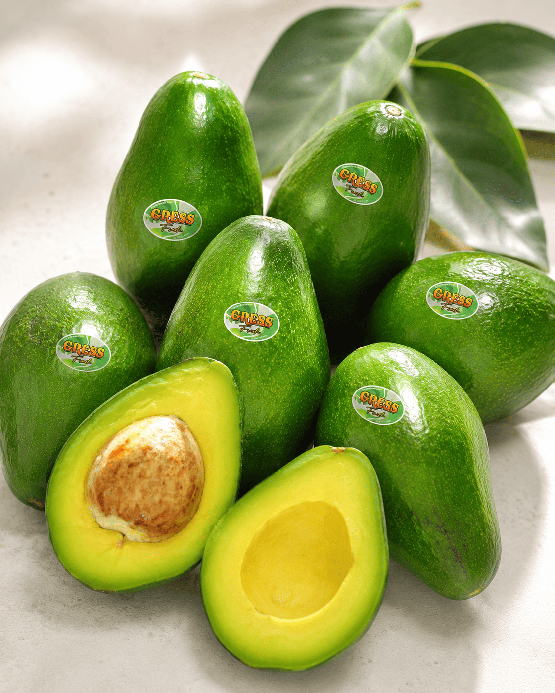 Avocado Mentega