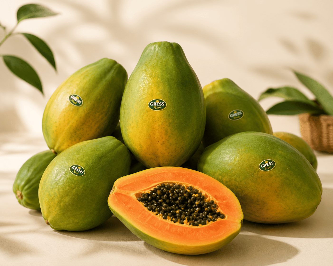 Papaya California